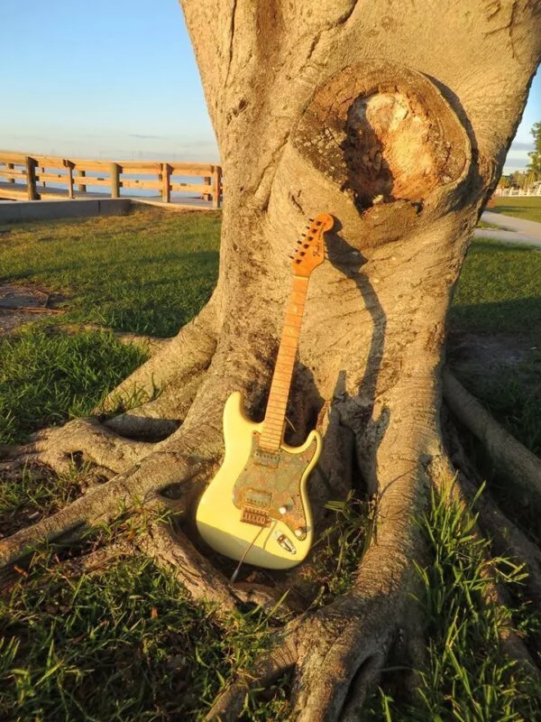 Stratocaster leaning against a tree