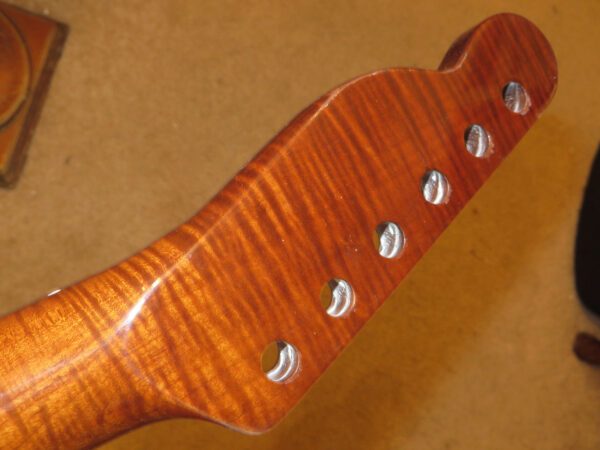 roasted curly maple neck head front