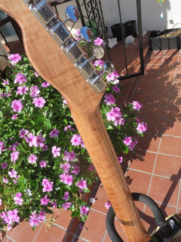 back of flame maple neck of blue flame maple topped tele