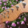 neck head back of blue flame maple topped tele