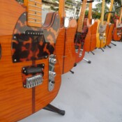 7 Sixkiller Madcats lined up