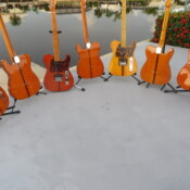 7 Sixkiller Madcats in a semi-circle