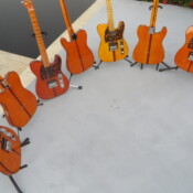 Sixkiller Madcats front and back views